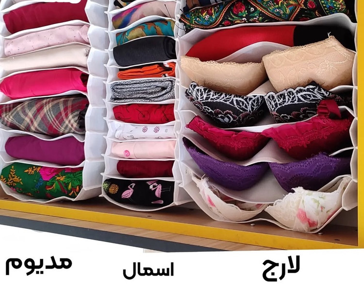 نظم دهنده کشو