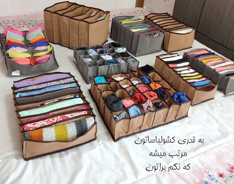 نظم دهنده کشو
